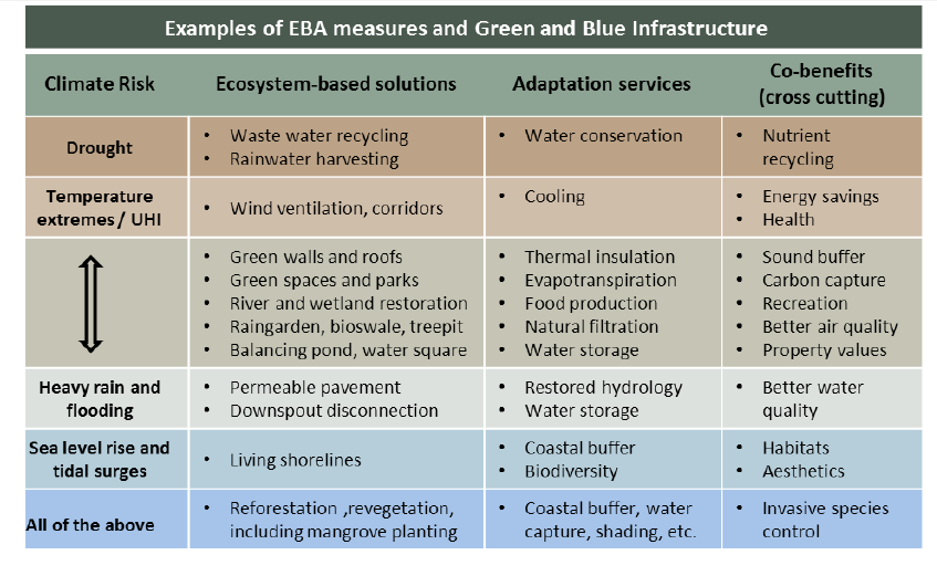 Ekosysteemeihin perustuva sopeutuminen EBA ICLEI