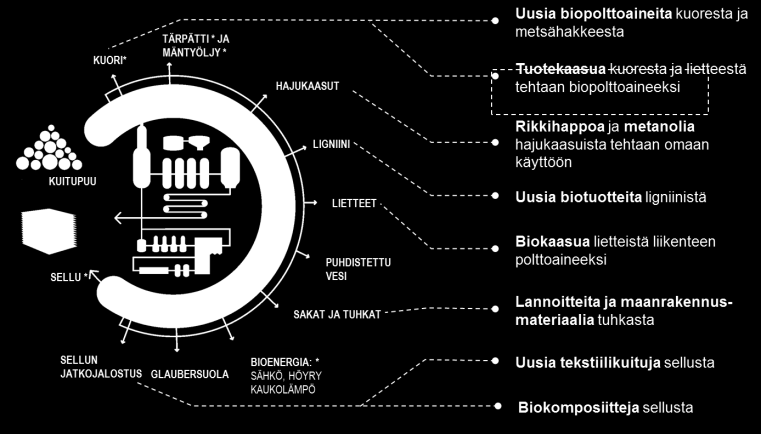 Äänekosken biotuotetehdas Biotuotteet Miksi