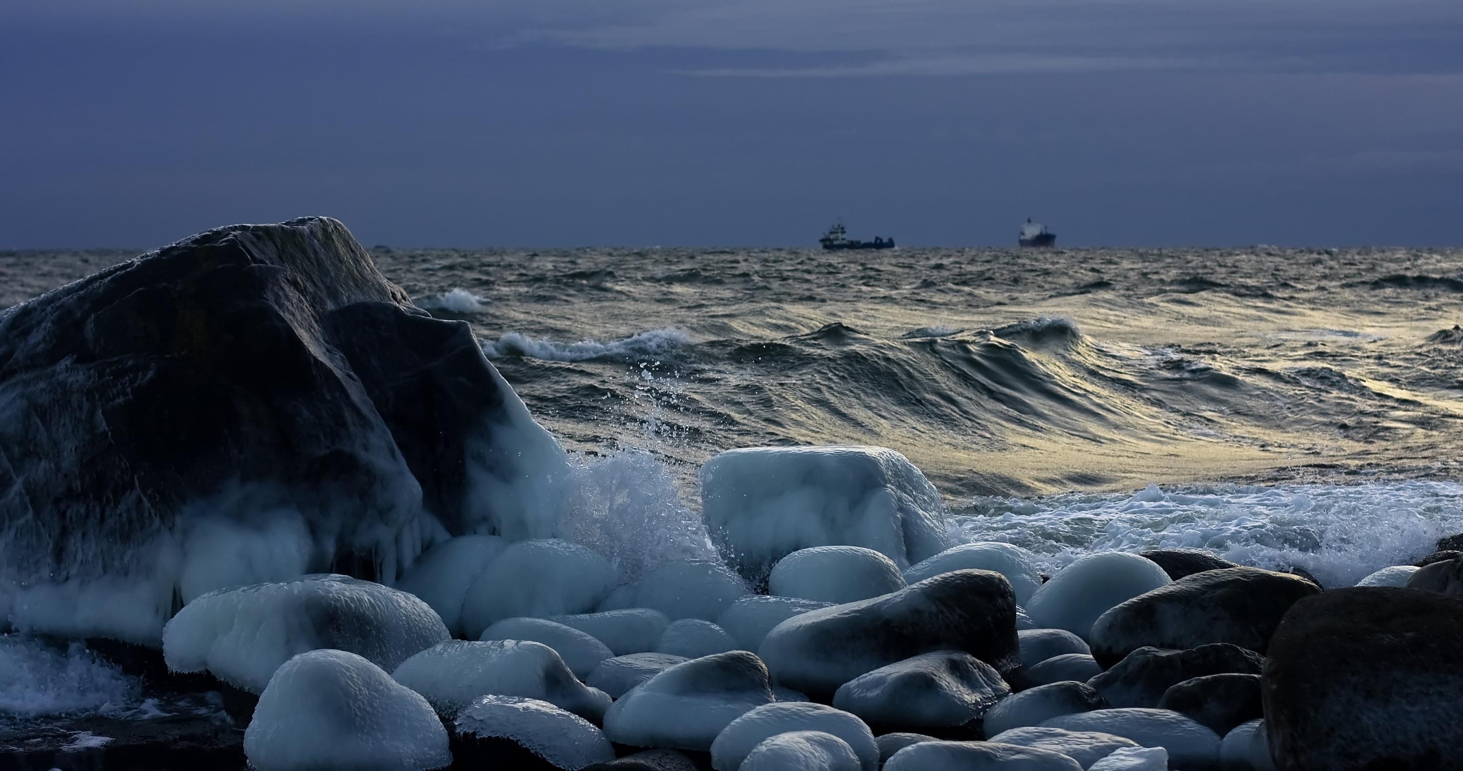 Meriohjelman päällikkö, WWF