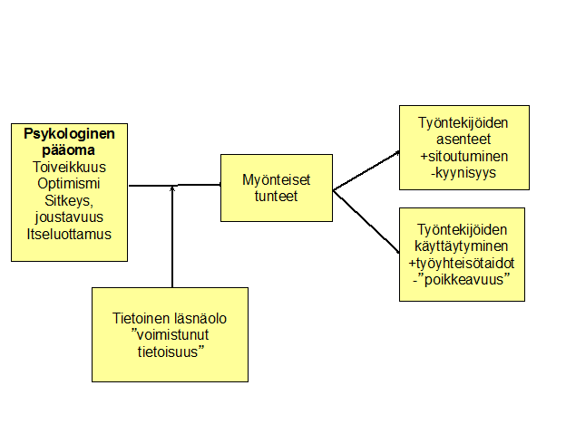 kysymykset on otettu olemassa olevista julkaistuista mittareista (itseluottamus Parker 1998, toiveikkuus Snyder ym. 1996, optimismi Scheier & Carver 1985 ja sitkeys Wagnild & Young 1993.