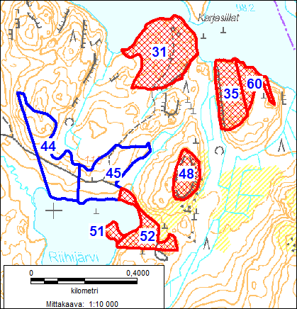 Kuva 20. Riihijärven ja Sulaman inventoidut kuviot (siniset rajaukset ja numerot). METSO-kriteerit täyttävät kuviot on merkitty punaisella rasterilla. Kuvio 44 on pääosin siemenpuuhakattu.
