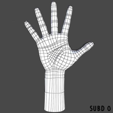 Kämmenen geometria (visuaalinen/avaruudellinen) - Tunnistetaan henkilö kämmenen geometrialla, esimerkiksi sormien pituus ja kämmenen leveys.