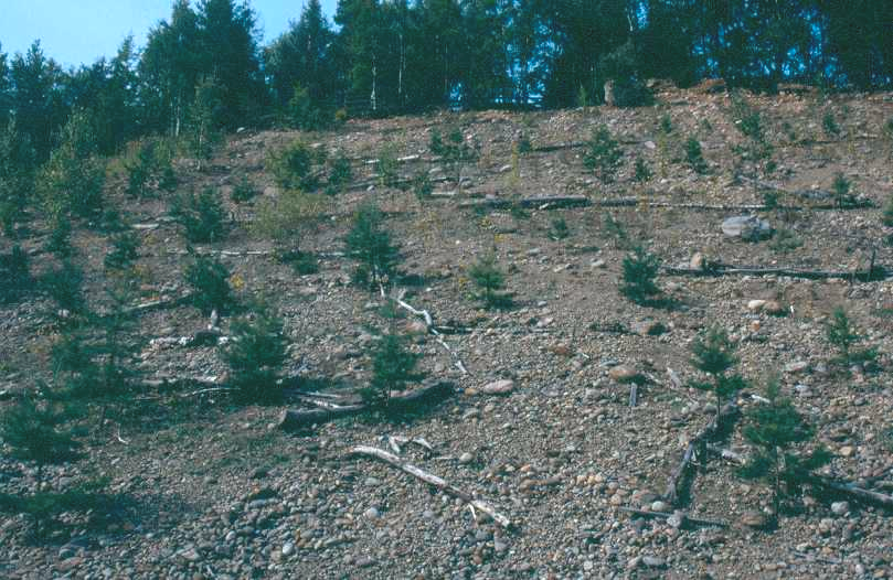 5 II PUUTTEENMÄEN SEURANTA 2001-2004 1 Yleistä Vuonna 2000 tehtyjen ensimmäisten seurantojen tulokset löytyvät loppuraportista. Myöhempiä seurantoja on tehty vuonna 2002 (6.5.), 2003 (25.5.) sekä 2004 (22.