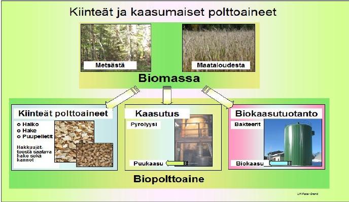 puuhake ovat kiinteitä metsästä saatavia biopolttoaineita (KUVIO 13).