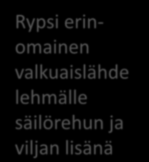 OIV g/kg KA 180 160 140 120 100 90 80 60 40 20 0 Rypsi- ja rapsirouhe, 00-lajike1) Rehuherne, kotimainen HVO % Härkäpapu Rypsi erinomainen valkuaislähde lehmälle