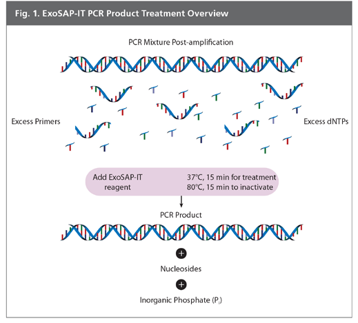 Top header 1 ctrl+shift Eurogentecin qpcr-kitit erikoishintaan! Kaikista kiteistä 20 % alennus!