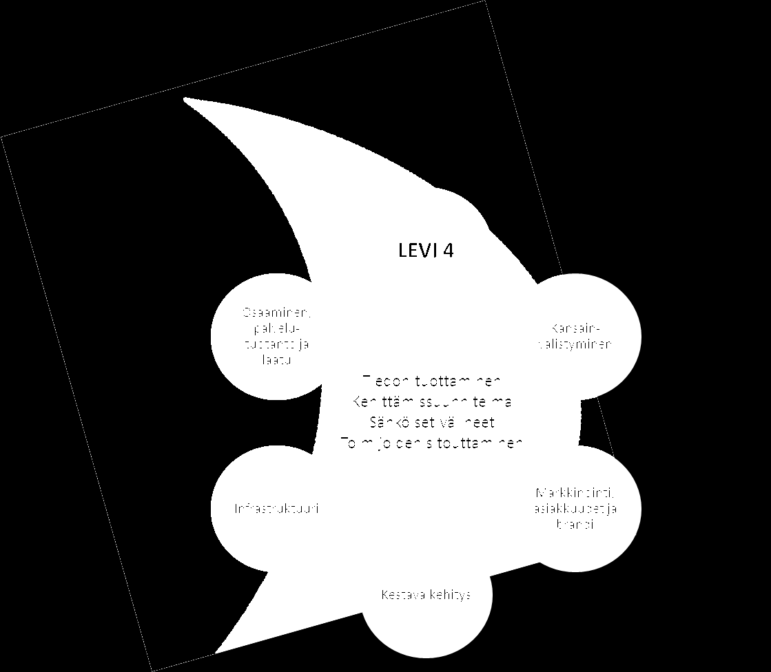 Levi 4 - tavoitteet 1) Tiedon tuottaminen alueen palveluiden ja tuotteiden kehittämiseksi Matkailuyritysten liiketoiminnan kannalta hyödyllinen ja olennainen tieto, joka on mahdollisimman nopeasti ja