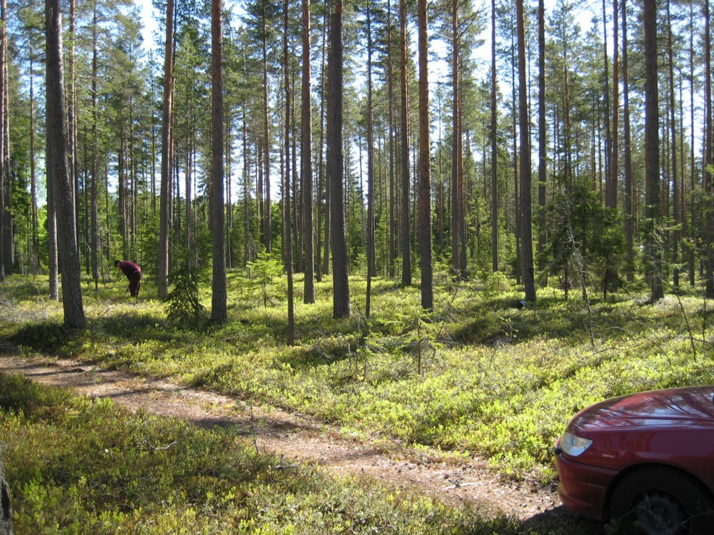 Asuinpaikka kuvattuna itään.