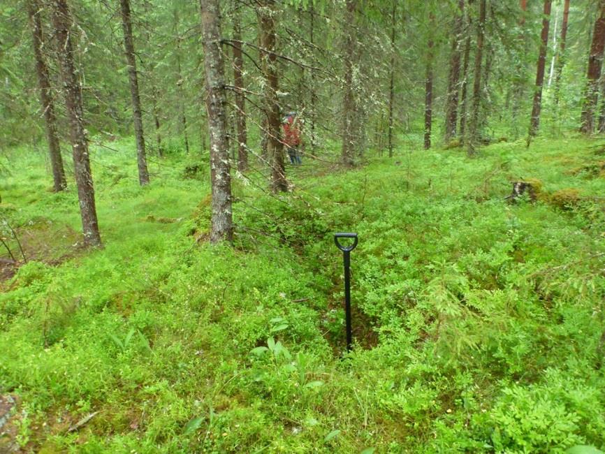 14 F) Pitkänomainen kuoppa: Sijaitsee kuusi- ja mäntymetsää kasvavan moreenitöppäreen päällä, tuulimyllypaikan 2:lle vievien kaapeli- ja