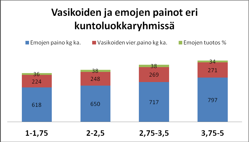 Nuorten emojen on haastellista pitää yllä kuntoluokkaa. Ne jatkavat vielä itse kasvuaan samalla kun kasvattavat ensimmäisiä vasikoitaan.