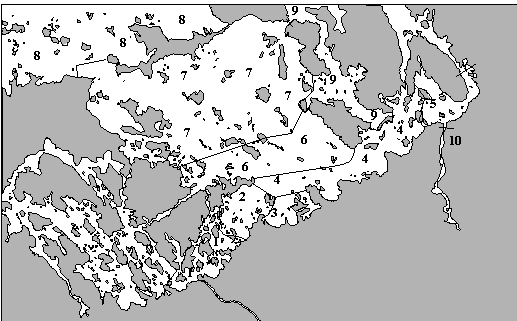 4. VASTAKUORIUTUNEIDEN MUIKUN- JA SIIANPOIKASTEN NUOTTAUKSET 4.1.