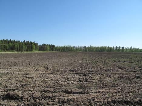 Kevätkuvia Huhtikuun
