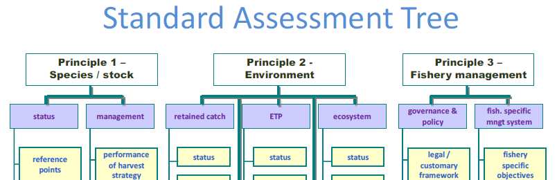 i) Principles ii) Components iii)