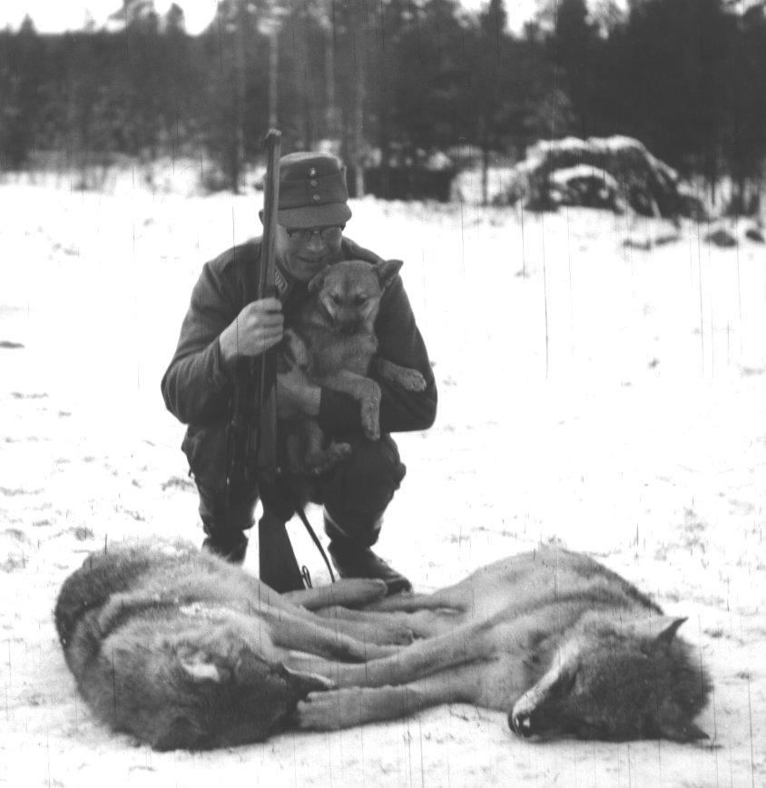 erotetaan hyväksikäytöstä, lemmikkien pito