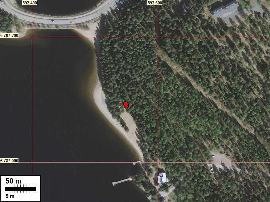 Röykkiöt punainen