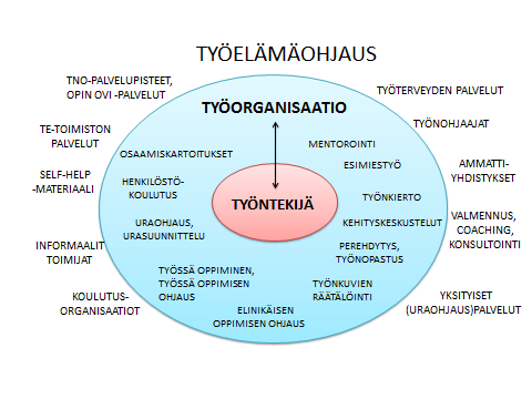 4 Kuva 1: Työelämäohjauksen kattavuus organisaatiossa ja organisaation ulkopuolisia ohjauksen palveluntarjoajia. Kuva Teea Oja, TOKI projekti.