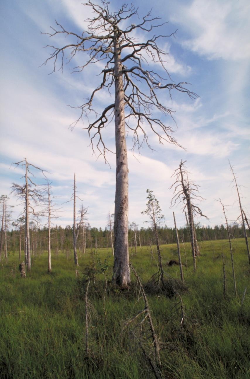 BPAN-projekti vuosina 2011-2014 GIS-tietokannan kokoaminen ja suojelualue- ja muun aineiston yhteinäistäminen