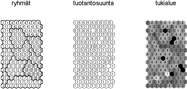 Kuva 3. Ryhmät sekä SOM:n opetuksessa käyttämättömien muuttujien komponenttitasot. Tuotantosuunnan arvot viittaavat kunkin karttayksikön yleisimpään tuotantosuuntaan.