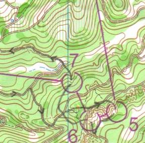 Metsä; MM 2001 / 2005 Voivat olla hyvin erilaisia (Suomi 2001 vs.