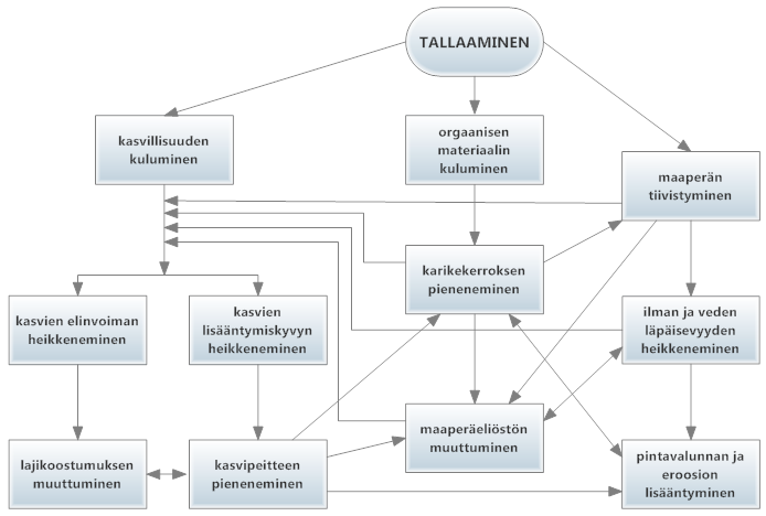 Kuva 6. Tallaamisen aiheuttamat kasvillisuuden ja maaperän keskinäiset vaikutukset.