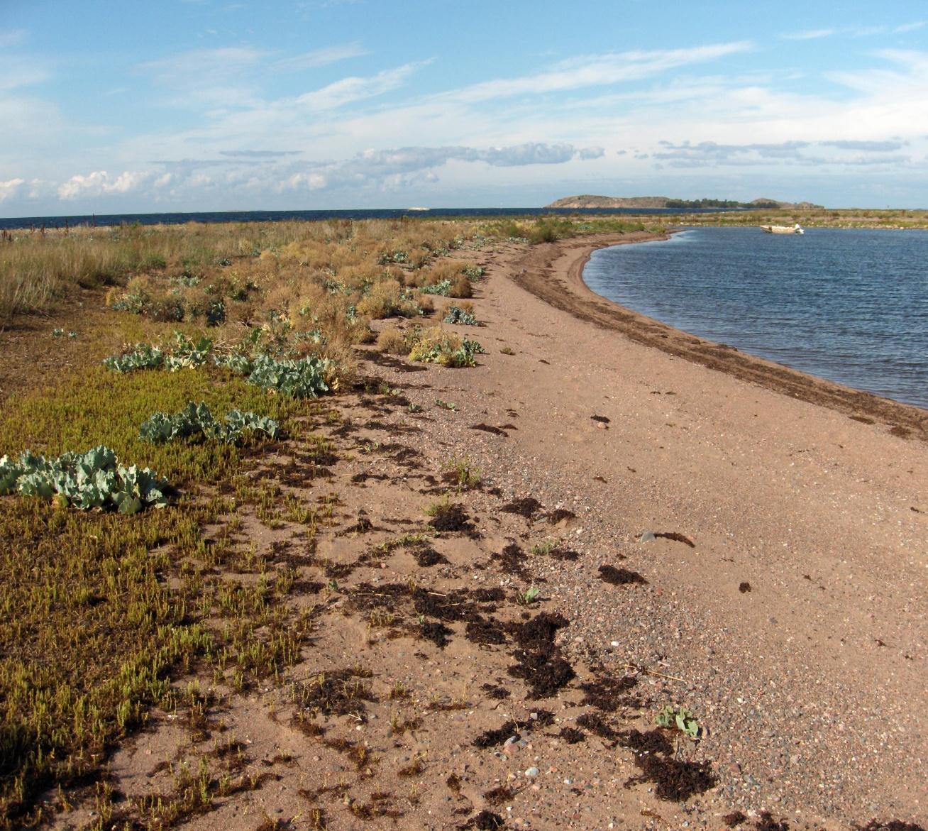 Luonnontilainen hiekkaranta LSL 29 :n nojalla suojeltu luontotyyppi LSL:n uudistus 1997: uusia keinoja, esim. 29 luontotyyppien suojelu Hiekkarannat saivat suojan mm.