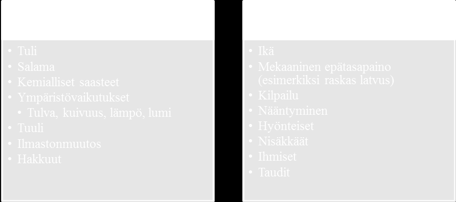 Kuva 1. Puun kuoleman aiheuttavia syitä (Harmon ym. 1986, Franklin ym. 1987, Stokland 2001, Stokland ym. 2012, s.110 119).