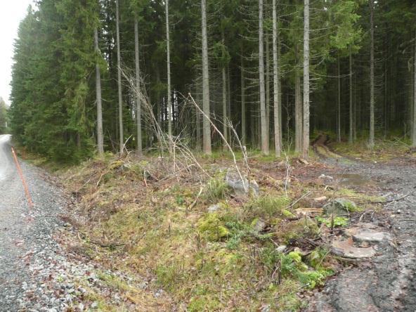 14 Metsätraktorin rikkomaa kiviröykkiötä muinaisjäännösalueella tien varressa Havaittu röykkiö (kuvassa