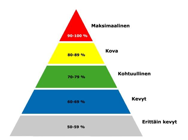 Team² -raportit Järjestelmästä on tulostettavissa raportit liikuntasuorituksen jälkeen, joista näkee jokaisen oppilaan minimi-, keski- ja maksimisykkeen.