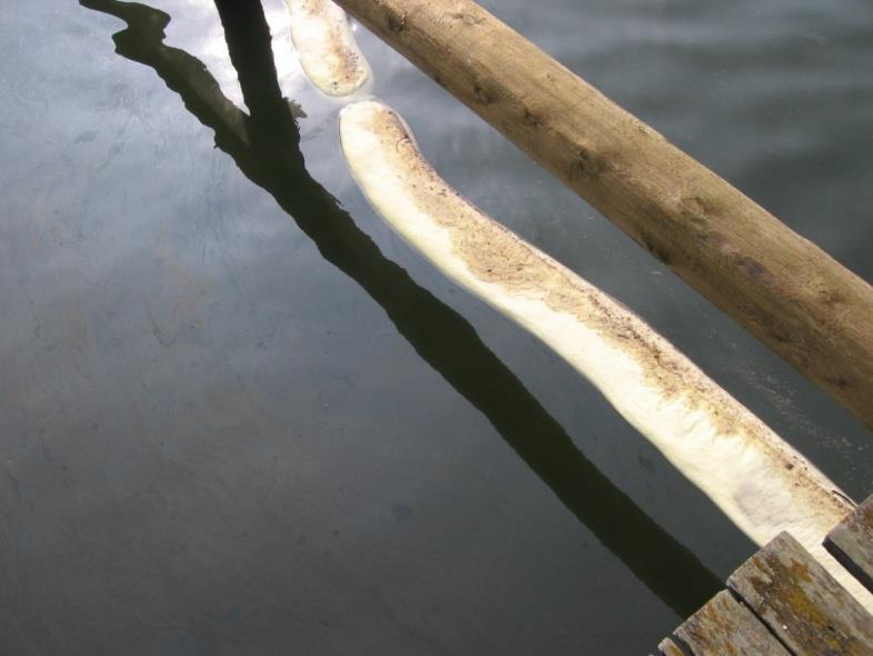 Vahingon rajoittaminen rannikolla Keinoja joilla vältetään rannikon öljyyntymistä ja hankalaa puhdistustyötä: Kapeiden salmien