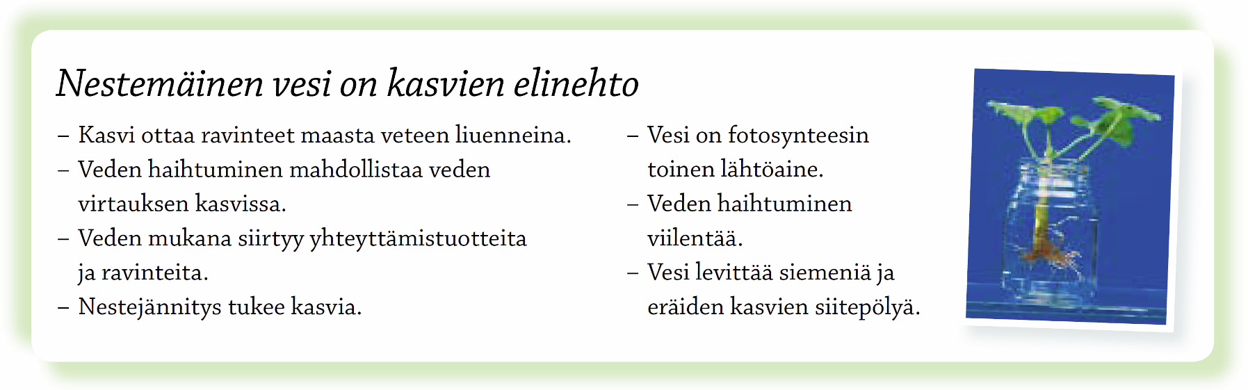 YO-tehtävä, syksy 2002 a) Mihin kasvit tarvitsevat vettä?