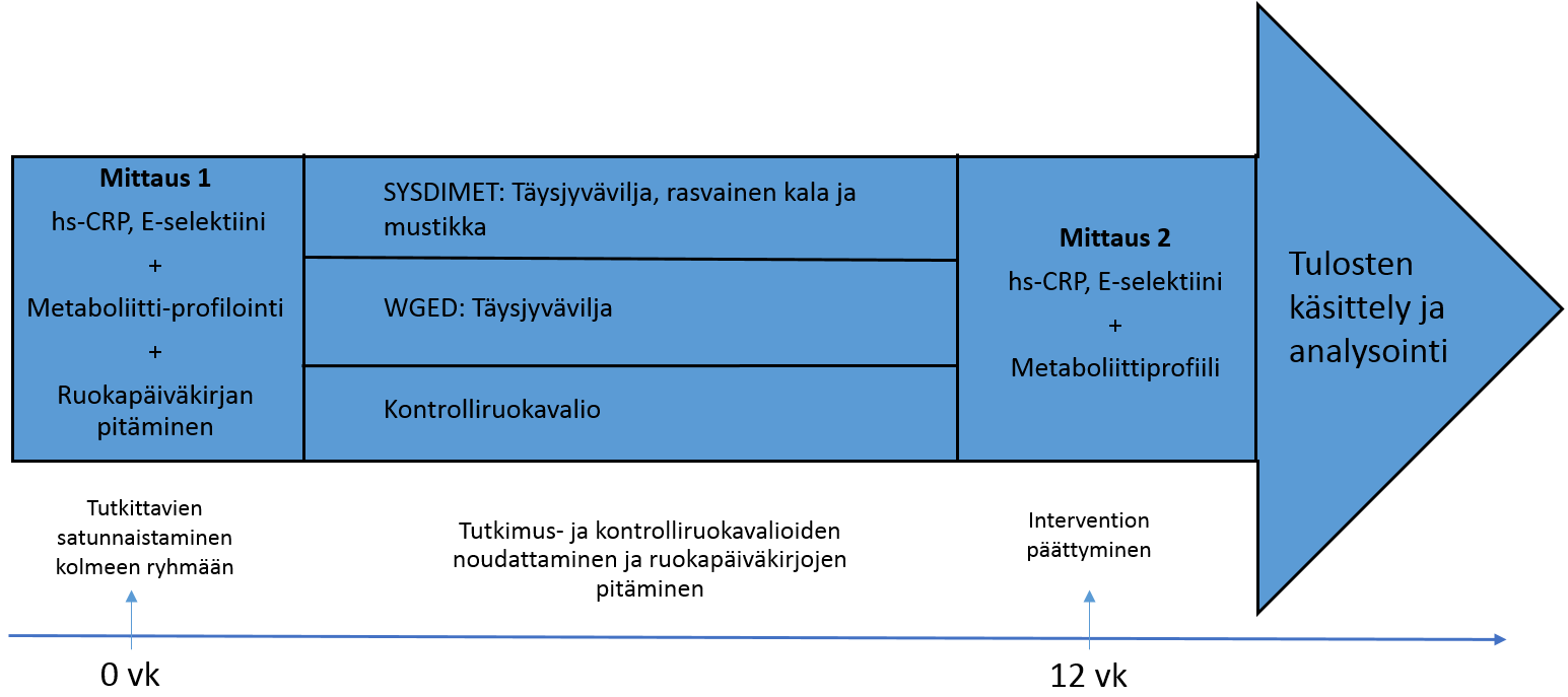 40 kontrolliryhmiin iän, sukupuolen, painoindeksin ja plasman paastoglukoosipitoisuuden mukaan. Kuvassa 6 on havainnollistettu tutkimuksen kulkua. Tutkimusryhmien ruoankäyttö erosi toisistaan mm.