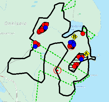 Ojan pohjoispuolelle jäävän rinteen haapojen juurilta papanoita löytyi taas.