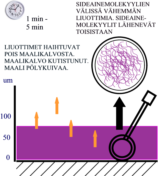 FYSIKAALISESTI KUIVUVAN MAALIN KALVONMUODOSTUS Kuva 4. Vaihe 1.