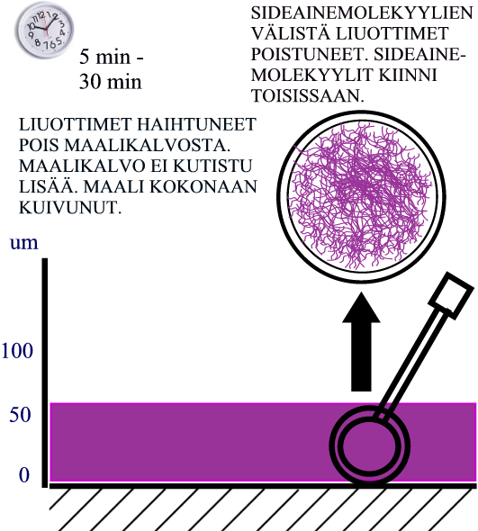 FYSIKAALISESTI KUIVUVAN MAALIN KALVONMUODOSTUS Kuva 6. Vaihe 3. Maali kuivunut kokonaan Fysikaalisesti kuivuvat metallimaalit ovat aina liuotinohenteisia.