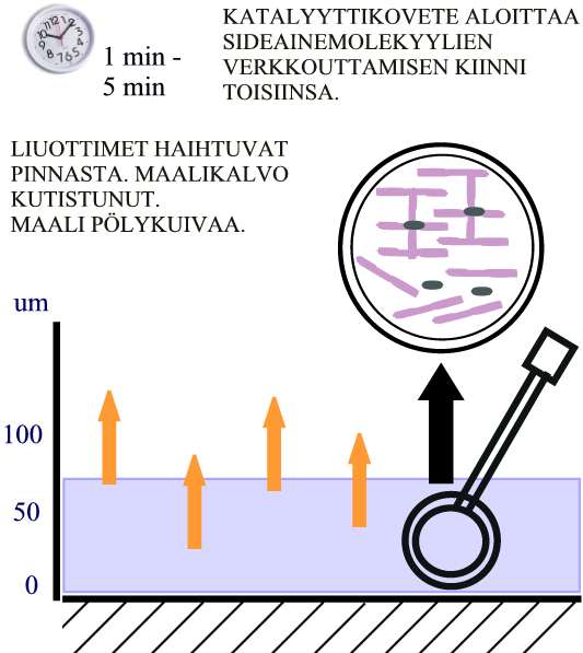 KOVETTEENA KATALYYTTI Kuva 17.