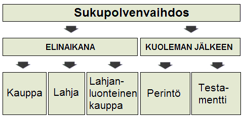 detään tarkastelemaan, olisi ensin hyvä selvittää mitä tapahtuu, jos ei tehdä mitään. Tällöin asia jää perinnön kautta jälkipolvien ratkaistavaksi metsänomistajan kuoleman jälkeen.