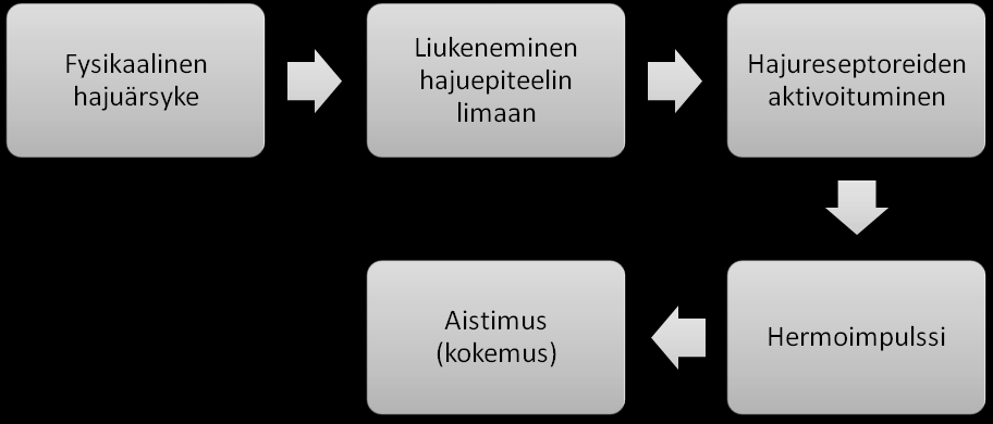 nenän kautta kutsutaan retronasaaliväyläksi. (Tuorila & Appelbye 2005, 35, 42 46.