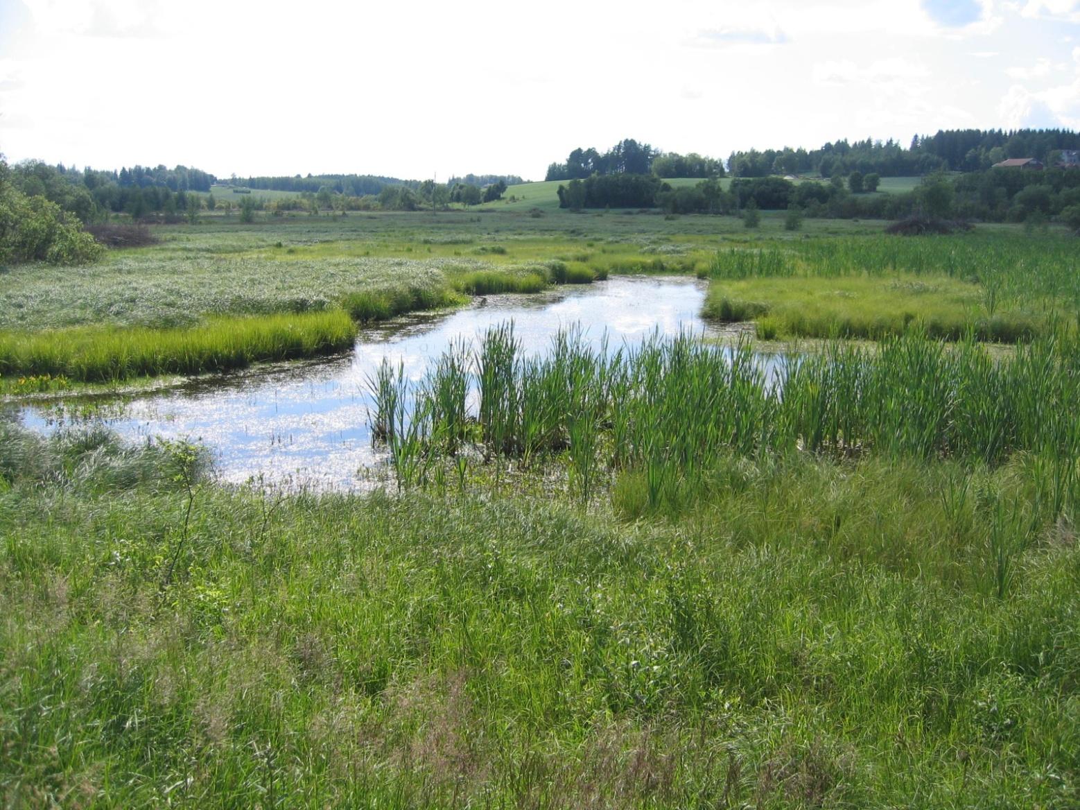 Alhonlahden alue, Viljakkala Pinta-ala: 58 ha Rauhoitettu: 38,3 ha Natura-peruste: