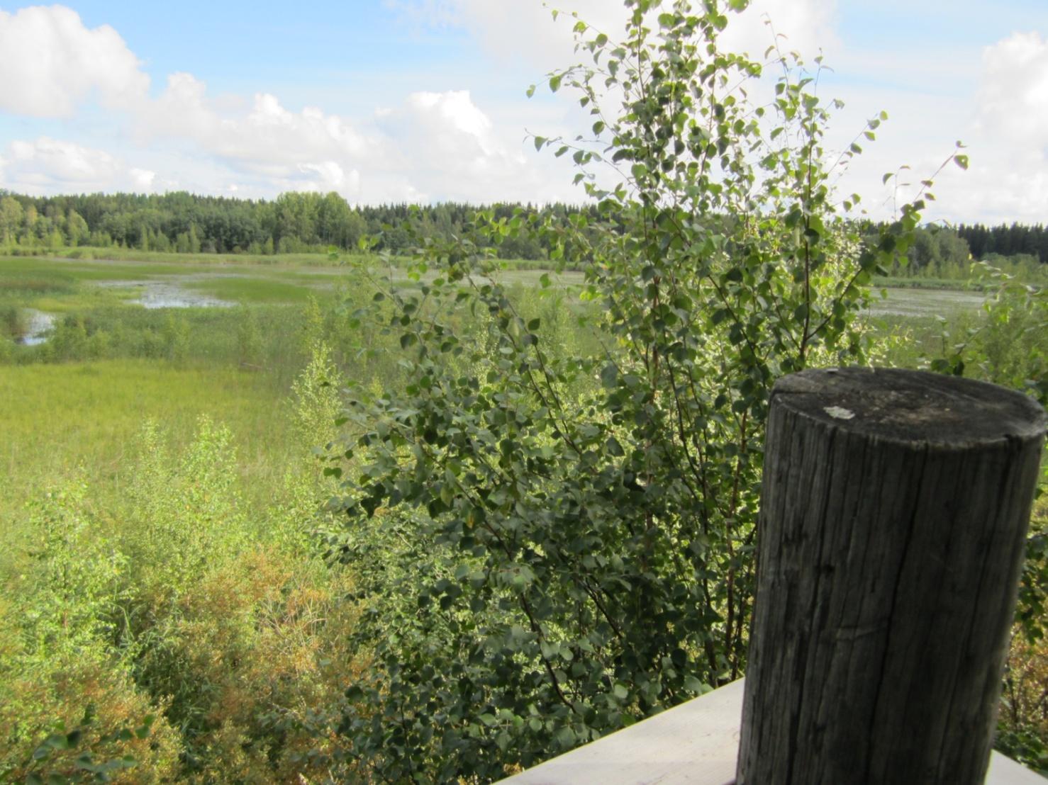 Hirvijärvi, Takamaa Pinta-ala: 23 ha Rauhoitettu: - ha