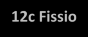 12c Fissio Fissiossa pysymätön raskas ydin hajoaa kahdeksi keskiraskaaksi ytimeksi.