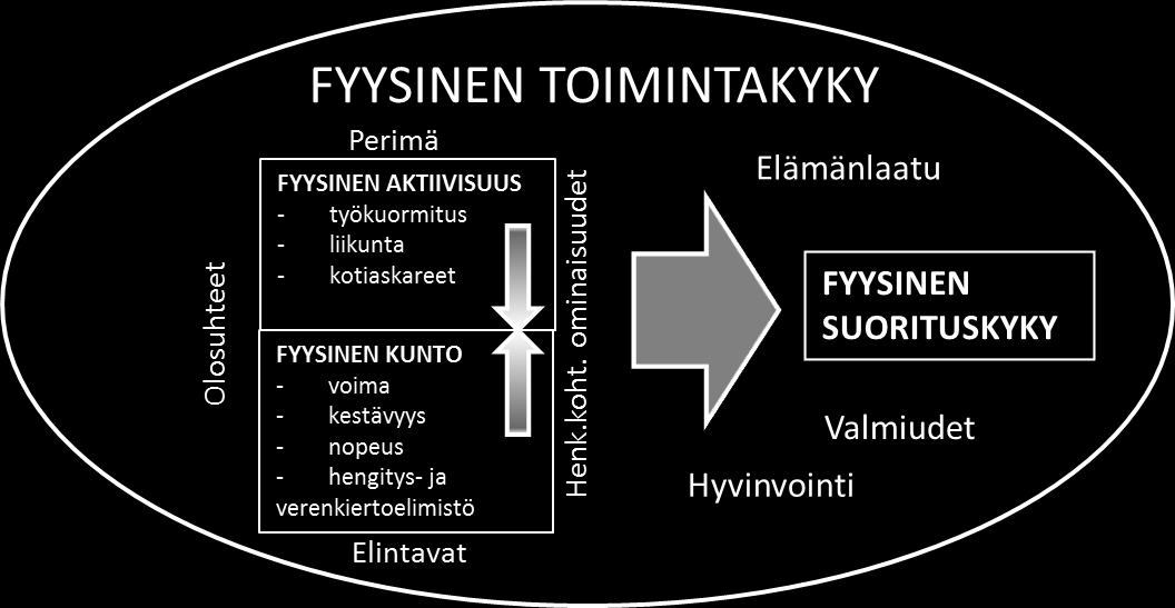 tuottamiseksi sekä metabolisten kuona- aineiden poiskuljettaminen elimistöstä (McArdle ym. 2007, 314).