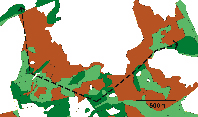 Vesa Selonen Liito-orava Suomen metsiä asuttaa kolme uhanalaista nisäkästä: susi, tammihiiri ja liito-orava.