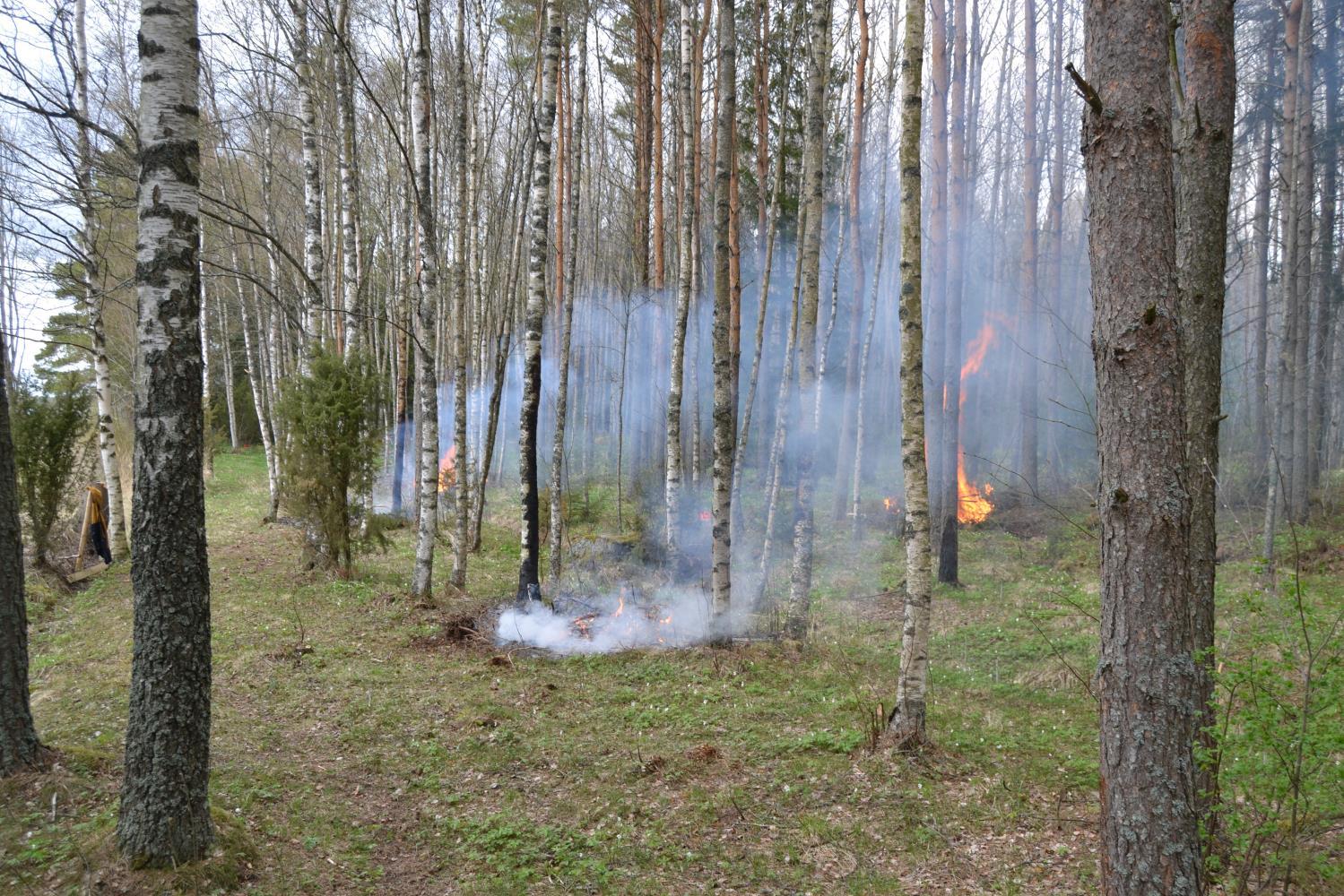 Kiitos & hyvää kevättä!