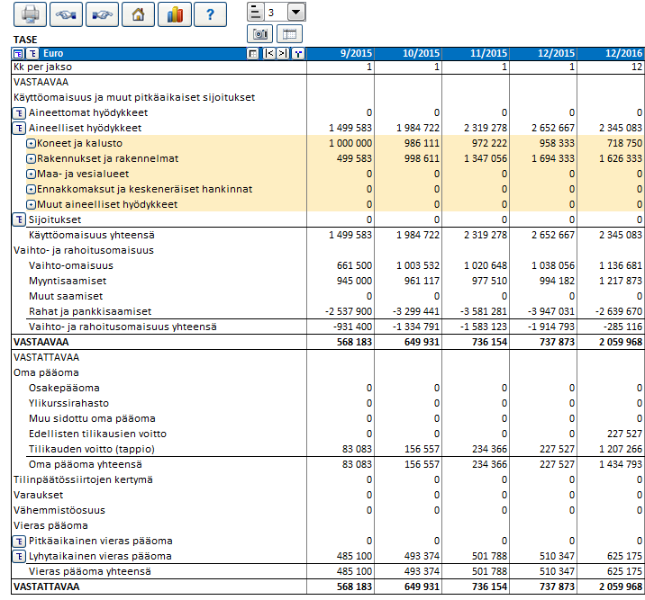 3.2.17 Tase (Pro- ja Enterprise versiot) Investointilaskelmaa tehdessä tase on lähinnä laskelmaa täydentävä raportti.