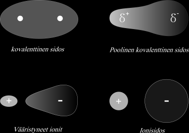 25 Positiivisesti varautunut ioni voi vetää puoleensa ja vääristää anionin elektronipilveä, jolloin sen elektronipilvi vetäytyy kationin suuntaan.