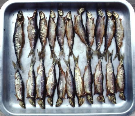 Uutta tietoa kalastuksesta ja kalastajien suhtautumisesta norpparajoituksiin Salmi J., Salmi P. & Hirvonen E. 2011. Ammattikalastus saimaannorppa alueella. RKTL:n työraportteja 16/2011. Kolari I.
