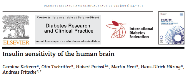 1978-2011 Nature. 1978 Apr 27;272(5656):827-9. Insulin receptors are widely distributed in the central nervous system of the rat.