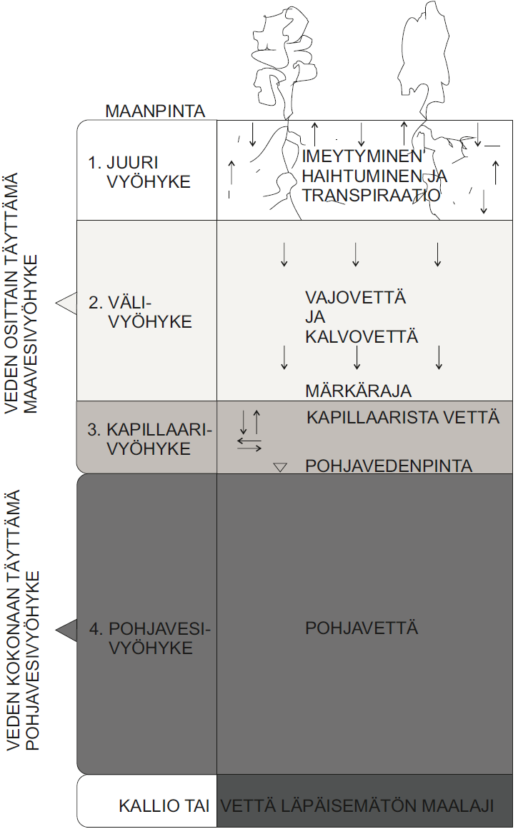 Pohjavesi varastoituu maa- ja kallioperän avoimeen tilaan, kuten halkeamiin ja huokostilaan (Korkka-Niemi & Salonen, 1996).
