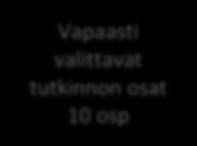 1. Vaihtoehtoinen Polku Kaikille pakolliset tutkinnon osat 35 osp YTO 35 osp Osaamisala opinnot 45 osp Metallituotemaala us 45 osp Kaikille valinnaiset opinnot 90 osp Osaamisalan kaikille