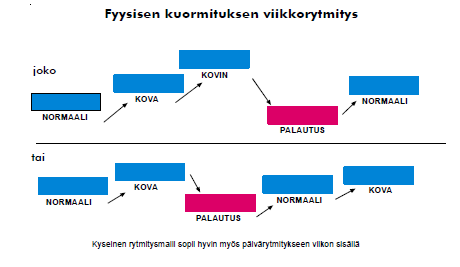 5.4 Fyysisen koulutuksen rytmittäminen Kokonaiskuormituksen hallintaan liittyy oleellisesti koulutuksen rytmittäminen kokonaiskuormituksen näkökulmasta.